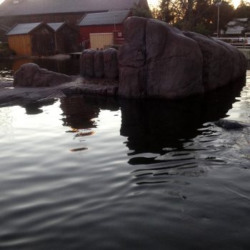 Skärgårdsklippor till Knubbsälarna på Skansen
